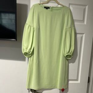 Lafayette  148 Elegant Lime Green Dress